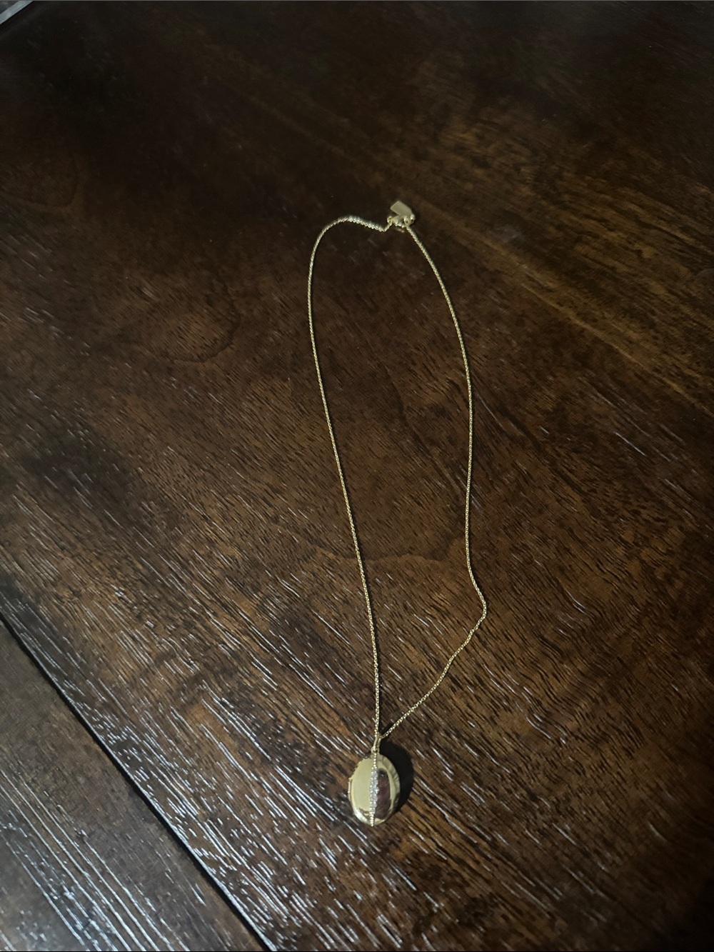 Gold Oval Pendant Necklace - Classic Everyday Layer - Electric Picks